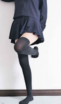 京城81号