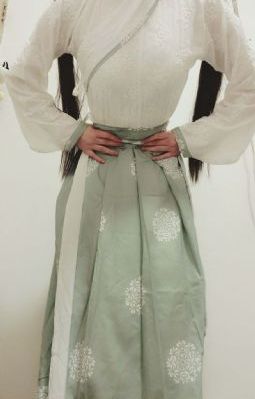 明明可以靠武力，娘子非要靠脑子