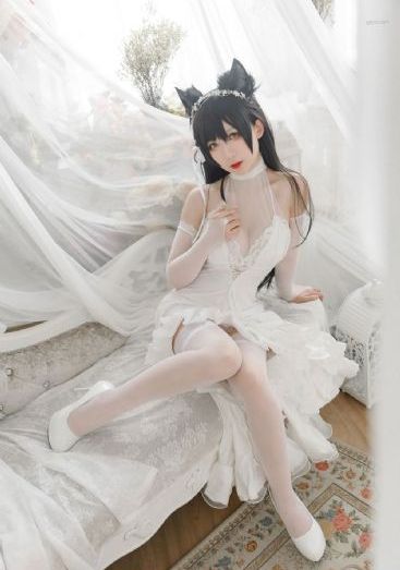 丛林迷踪