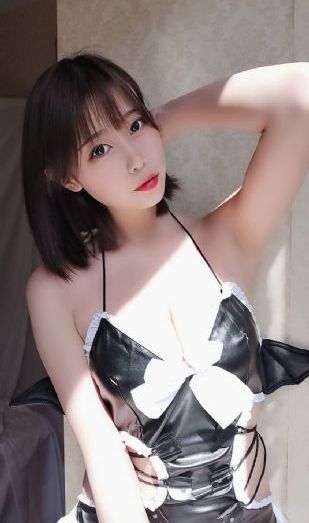教宗的承继