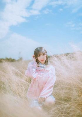 拾犬拾美