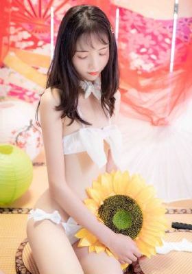 何以飞翔
